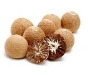 Betel Nut
